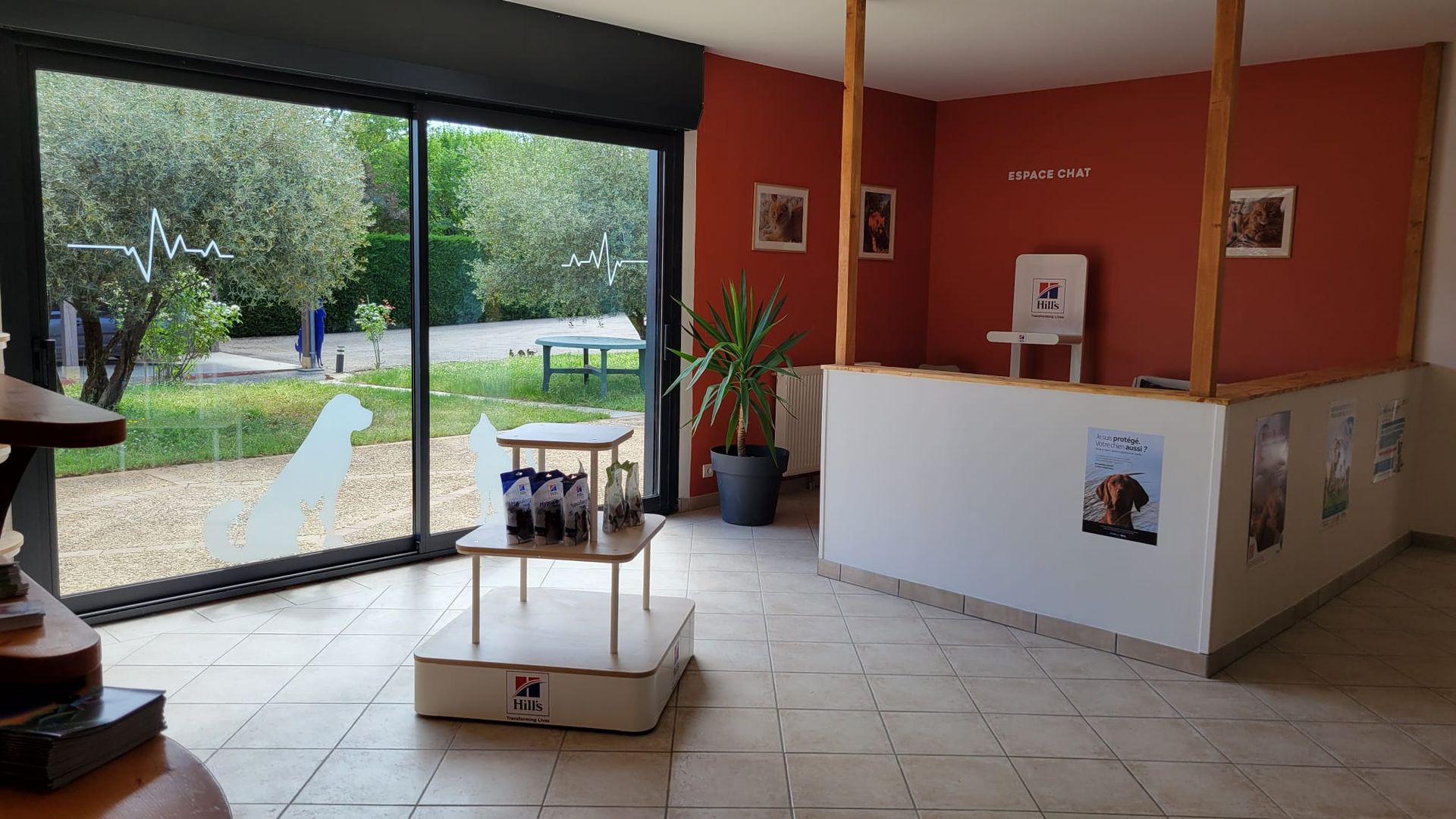Accueil du cabinet avec vue sur le petit parc et l'espace chat