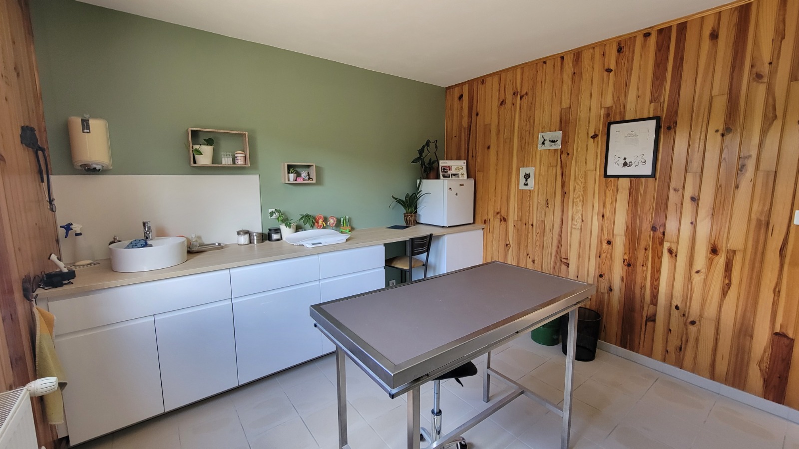 Salle de consultation bois et vert sauge Vetenea